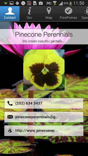 Pinecone Perennials