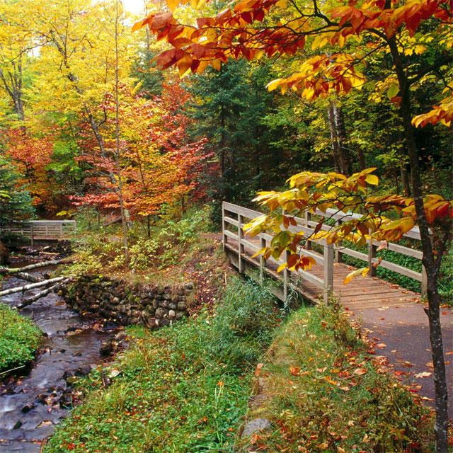Nature Jigsaw Puzzles - Android Apps on Google Play