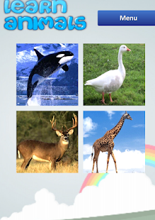 Learn Animals for Toddlers Screenshots 9