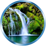 Cover Image of Download Ringtones and sounds of nature 1.0.8 APK