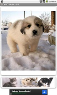 How to install Adorable Pet Farm 1.0 mod apk for pc