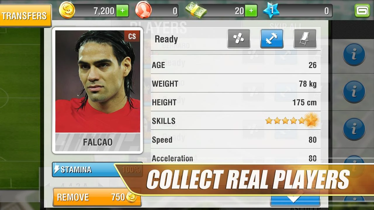 Real Football 2013 - screenshot