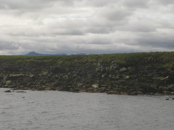 Puffin Island