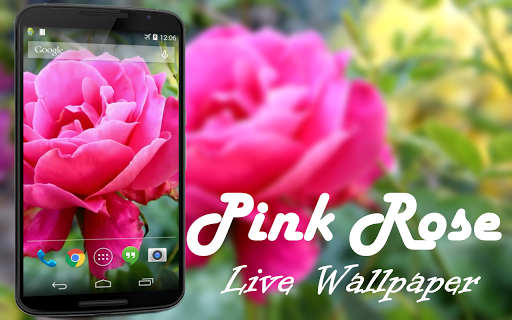 Pink Rose Video Live Wallpaper