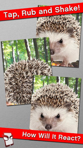 【免費娛樂App】Angry Hedgehog Free!-APP點子