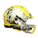 Oregon Ducks icon