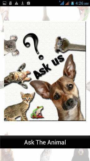 Ask Funny Animals