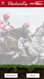 Charleston Cup poster 1