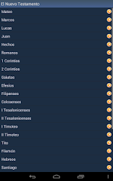 Spanish Holy Bible poster 9