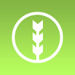 Logo for Cat Puncher HQ