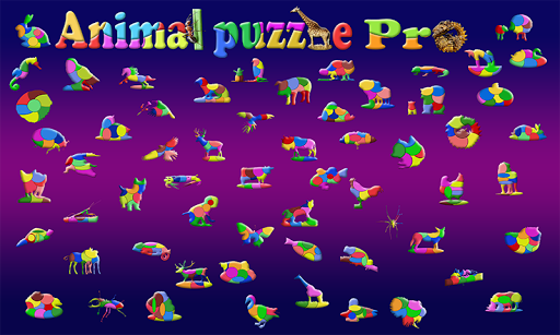 Animal Puzzle for Kids Pro