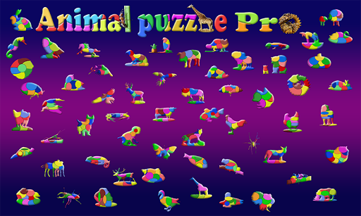 【免費解謎App】Animal Puzzle for Kids (Pro)-APP點子