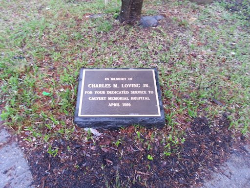 In Memory of Charles Loving Jr.