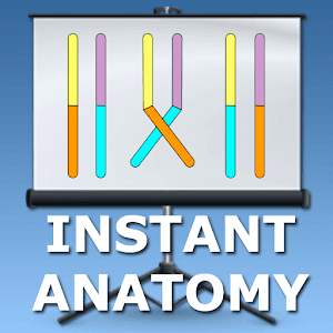 Embryology Lectures logo