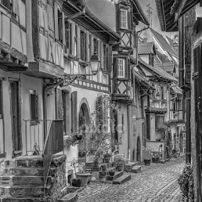 by Fraise Des Bois - City,  Street & Park Neighborhoods