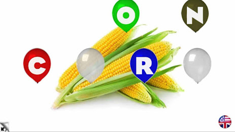 Educational flashcards poster 11