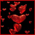 Hearts Live Wallpaper !! logo