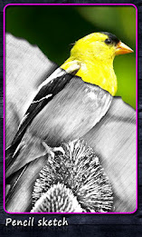 Water Color Sketch poster 5