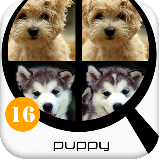 Find Differences 16 - Puppy 解謎 App LOGO-APP開箱王