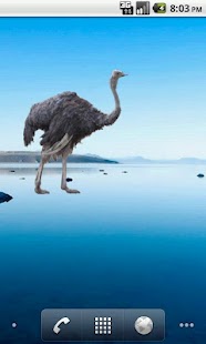 How to mod Ostrich Sticker lastet apk for android