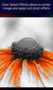 Lastest Color Splash APK