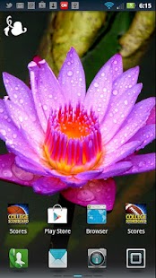 How to get Flower Power Live Wallpaper patch 1.0 apk for pc