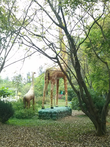 The Tall Giraffe Statue   