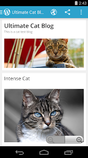 WordPress - screenshot thumbnail