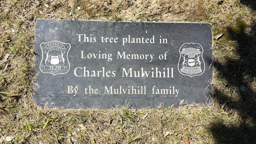 Charles Mulvihill Memorial Tree