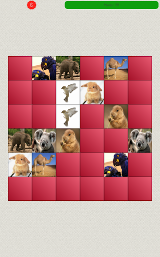 【免費解謎App】Memory Game - Animals-APP點子