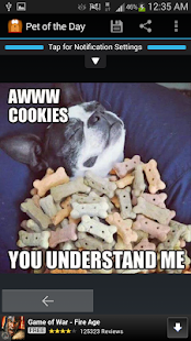 Pet of the Day: Dog & Cat Pics Screenshots 2