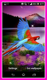 Parrot Live Wallpaper poster 4