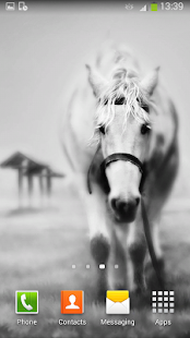 Horses Live Wallpaper Screenshots 15