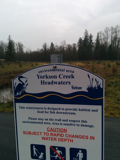 Yorkson Creek Headwaters