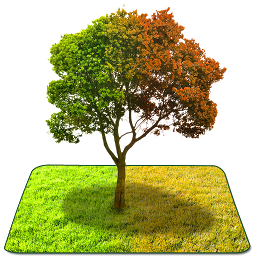 True Weather 3D v6.0.3