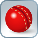 Practice Cricket icon