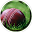 Cricket Ball Download on Windows