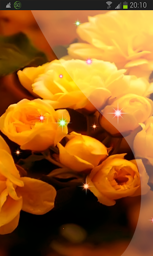 免費下載個人化APP|Yellow Roses Wallpaper app開箱文|APP開箱王