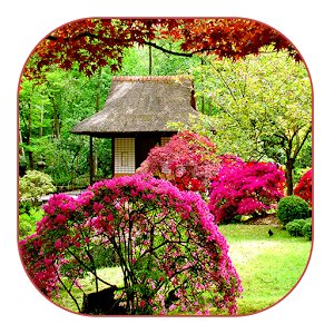 Garden Live Wallpaper.apk 1.2