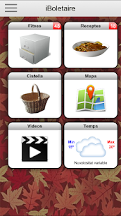 Download iBoletaire APK