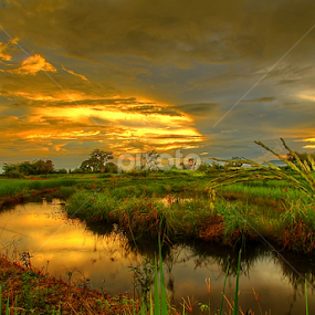 by Maidiabu Maimin - Landscapes Prairies, Meadows & Fields