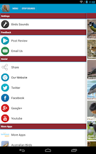 Spanish Birds Sounds Screenshots 15