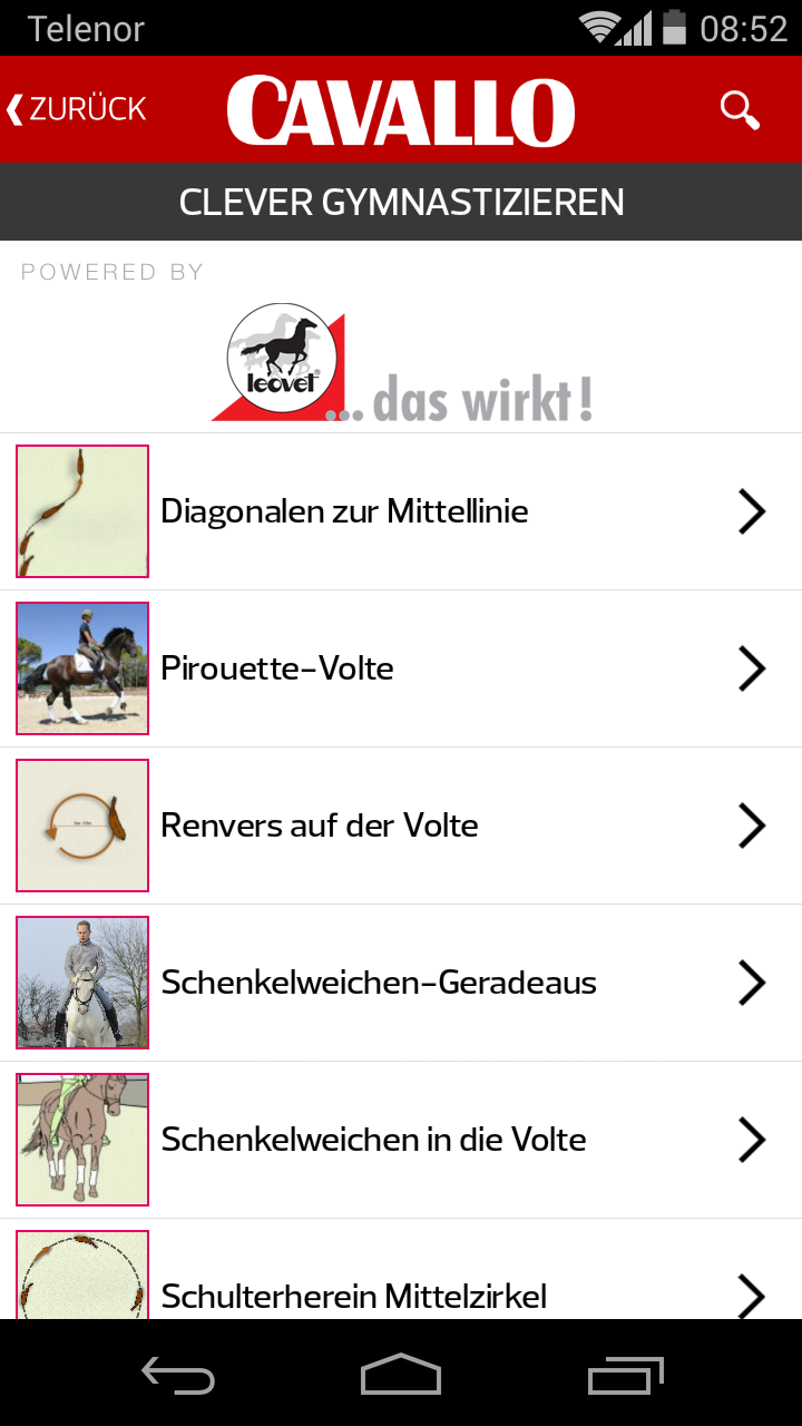 Cavallo ReitCoach Screen 3