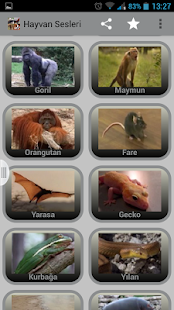 Hayvan Sesleri Screenshots 4