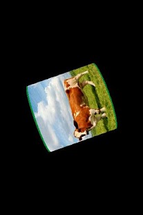 Free Download Mooh Box APK