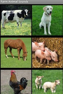 How to mod Farm Animal Sounds Free 1.4.7 mod apk for pc