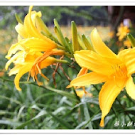 沐心泉休閒農場