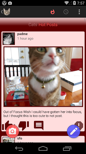 Cat Share