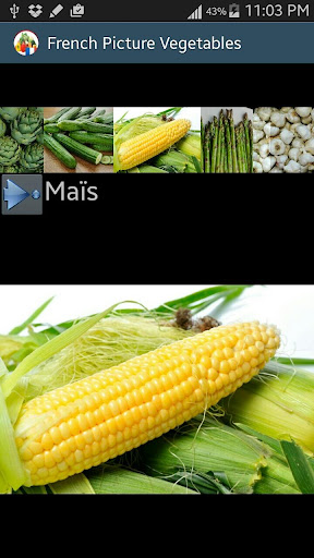 【免費教育App】noms des légumes en français-APP點子