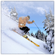 Ski info